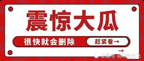 娱乐吃瓜八卦图,吃瓜图鉴背后的明星秘闻